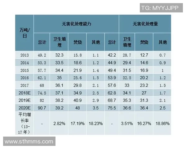 武汉极限运动队的节奏探讨与发展前景分析