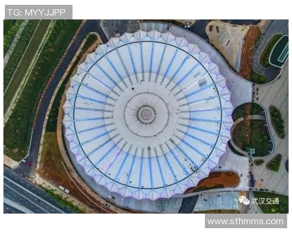 武汉网球队的控制革新探索与实践全景分析